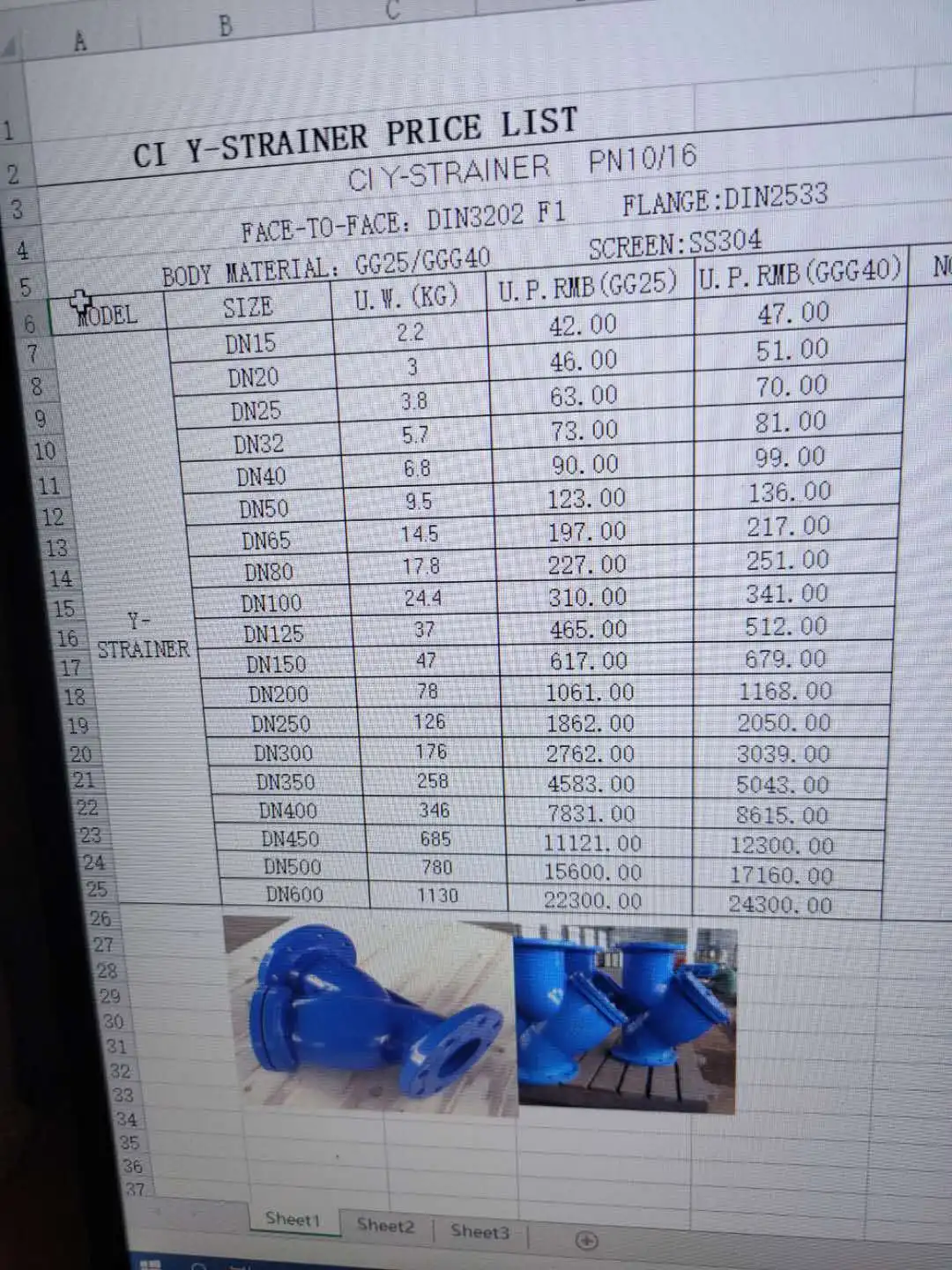 TOYO DIN cast iron Y strainer and DIN cast iron swing check valve quotation