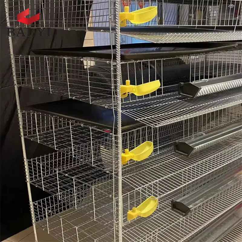 Poultry Shed Galvanized Wire Mesh Cages of Quails