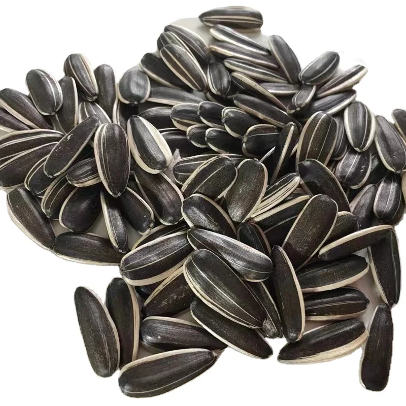 Wholesale Raw Chinese 2021 Hot Sale Natural Organic Sunflower Seeds for Bulk Buyers