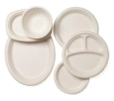 100% Biodegradable Disposable Sugarcane 3 Compartment Meal