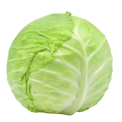 DEAL HOT Natural Green Chinese/Napa Cabbage with High Quality exporting in 2023 product of Viet Nam
