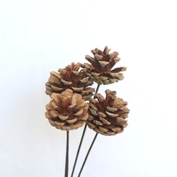 Amazon wholesale flowers natural dried pine cone florist supplies for interior home decorative