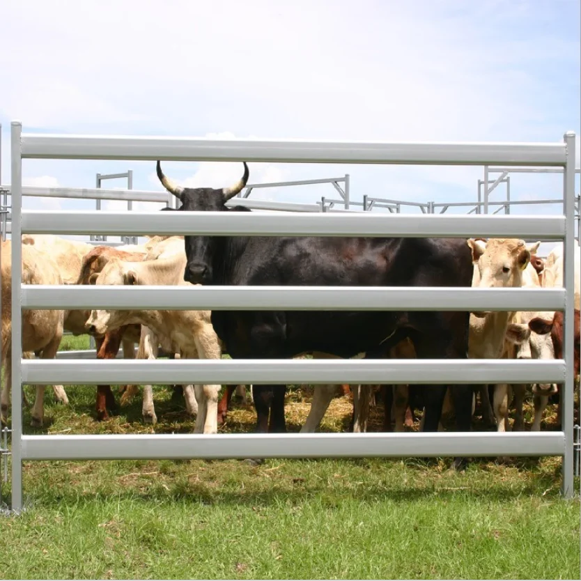 galvanized 6rails sheep/goat /cattle/cow/horse panels/ paddock fence/farm gates
