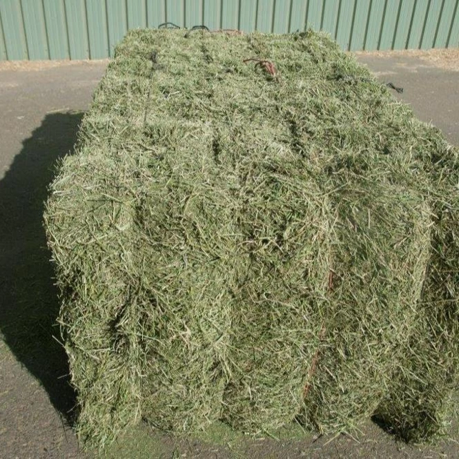 
Alfalfa and Corn Silage 
