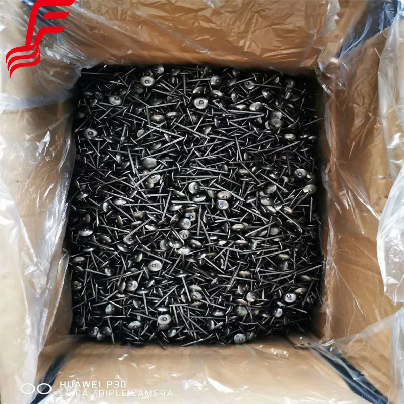 Roofing Nails Coil ! Galvanized Roofing Nails Twisted Shank
