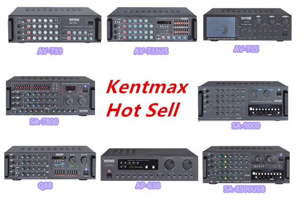 Speaker Digital Equalizer NEQ-100 For Power Amplifier Stage Performance Audio home Amplifier