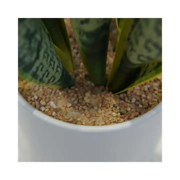 Green Fresh Natural Artificial Simulation Of Snake Plant Garden Indoor And Outdoor Decorative Plant Pot