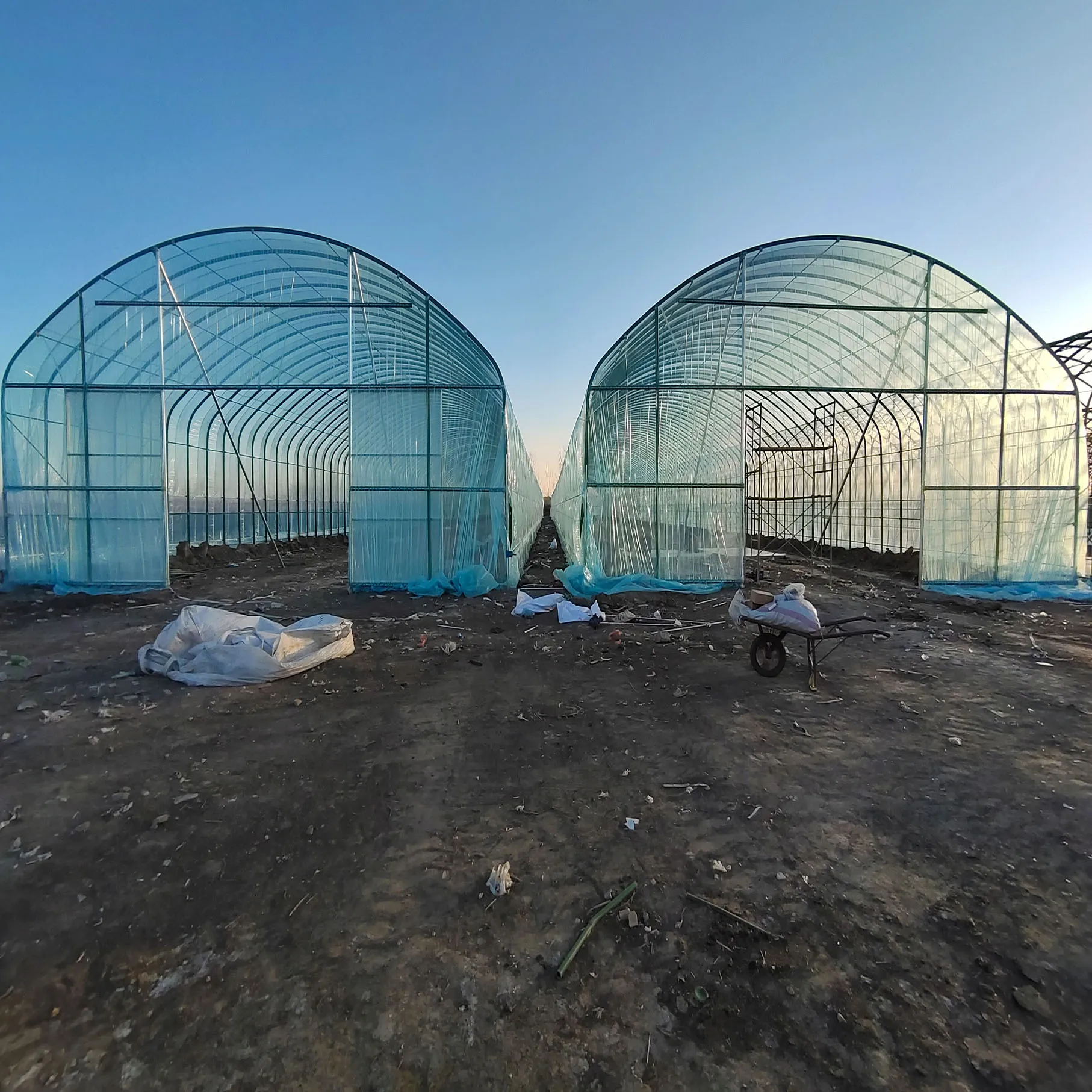 Vegetables growing hoop house single span agricultural greenhouse tunneling for hot sale