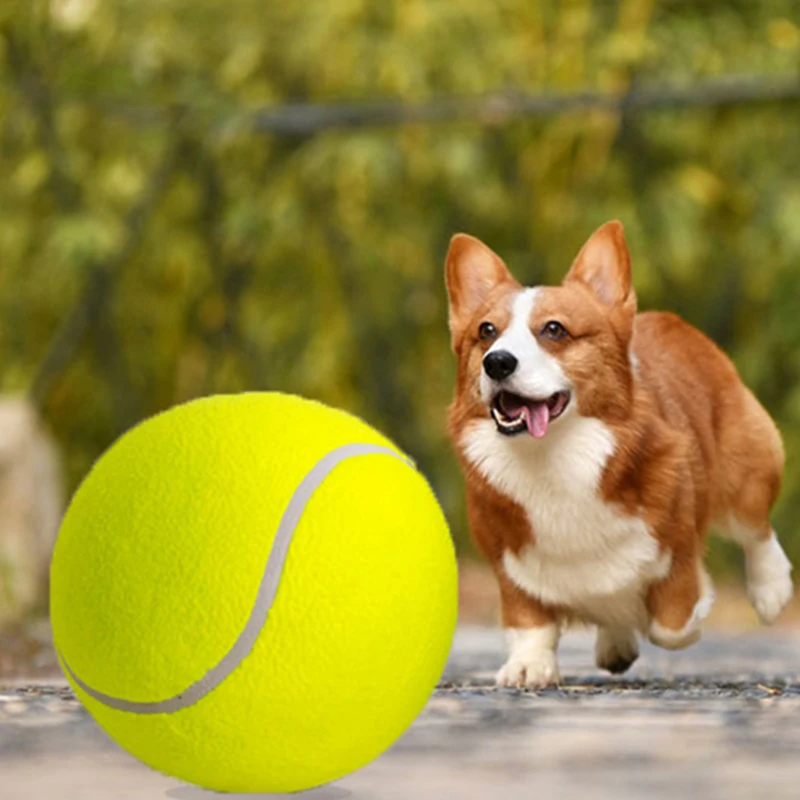 Popular Design Bone Molar Dog For Aggressive Chewers Pet Chew Plush Toy