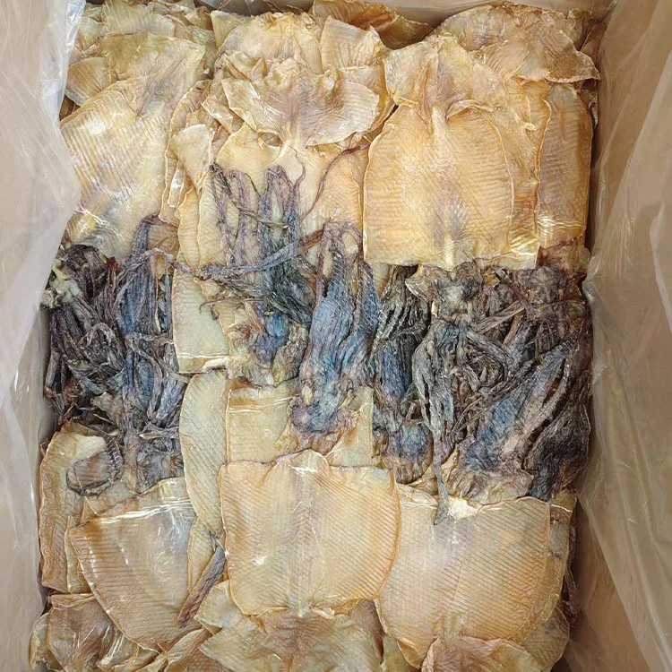 dried squid whole 13