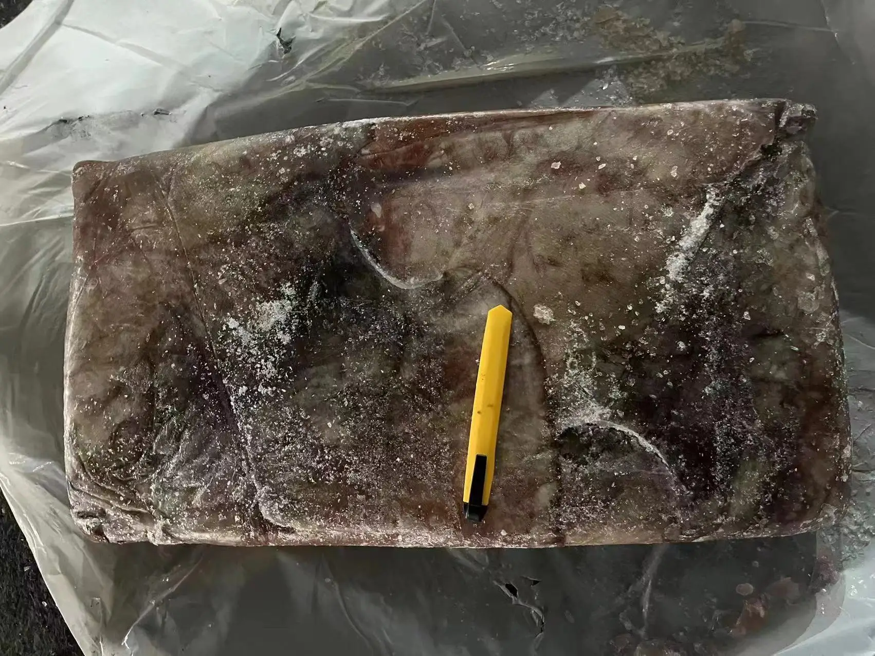 Frozen dosidicus gigas wings  Peru Squid wings with skin Giant squid wings skin on