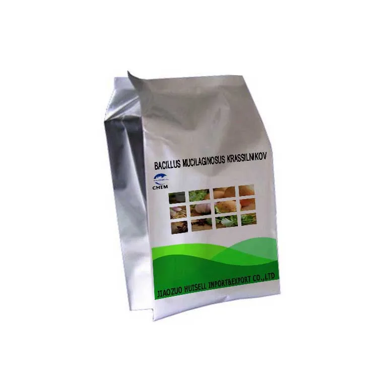 Silicate bacteria fertilizer bacillus mucilaginosus bio fertilizer