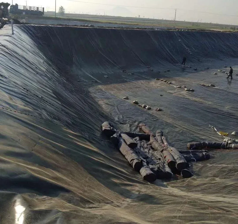 Thickness 0.5-3mm Impermeable Double-Sided Smooth/Texture HDPE Geomembrane for Environmental Protection