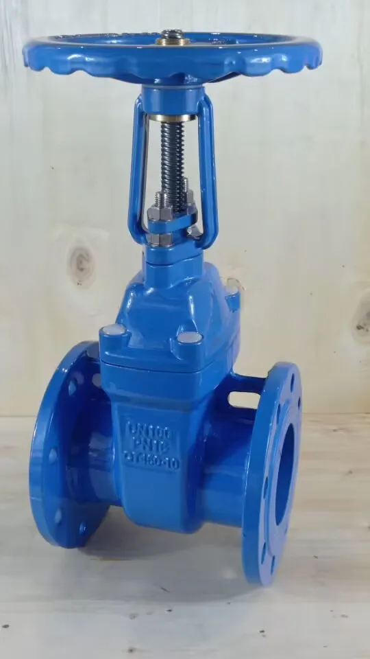 China Manufacturer DN50-DN300 Industrial Valve Cast Iron Ductile Iron Rubber Seal Flange Gate Valve