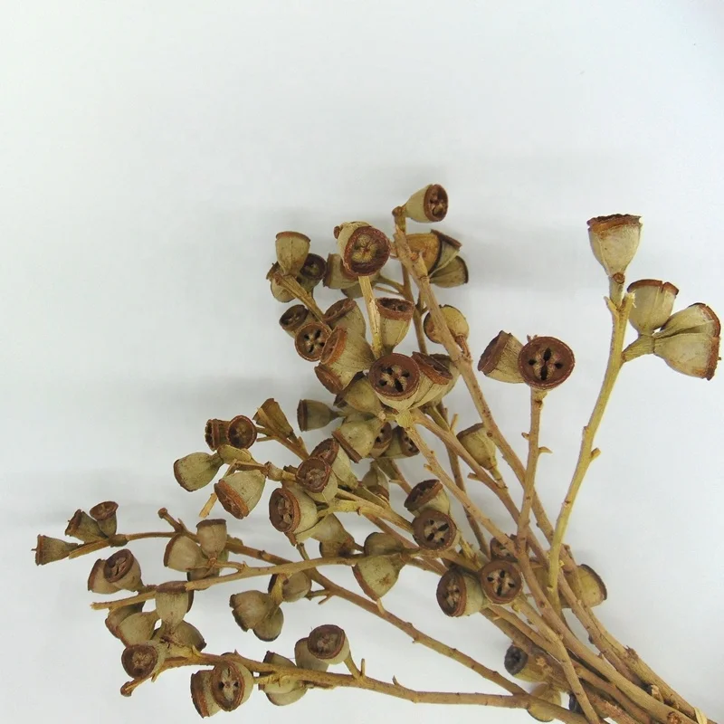 berries wholesale berries flower bouquet for wedding table centerpieces Eucalyptus fruit