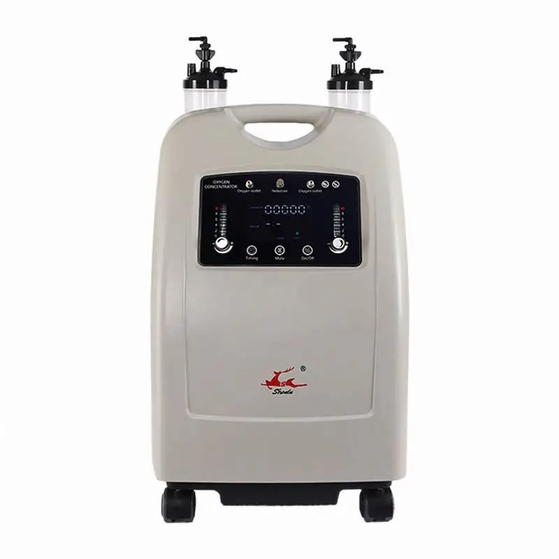 2021 popular products Oxygen Therapy Machine portable oxygen concentrator 10L