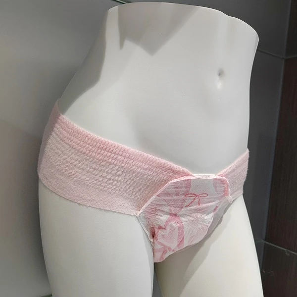 Hot Wholesale Breathable Disposable Overnight Period Women Underwear Menstrual Panties  Super absorption Napkin Sanitary