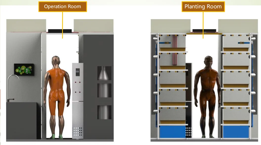 Pro-Leaf Fully automated turnkey system microgreen/strawberry/herb/lettuce/Medicinal materials/mushroom/canna container farm