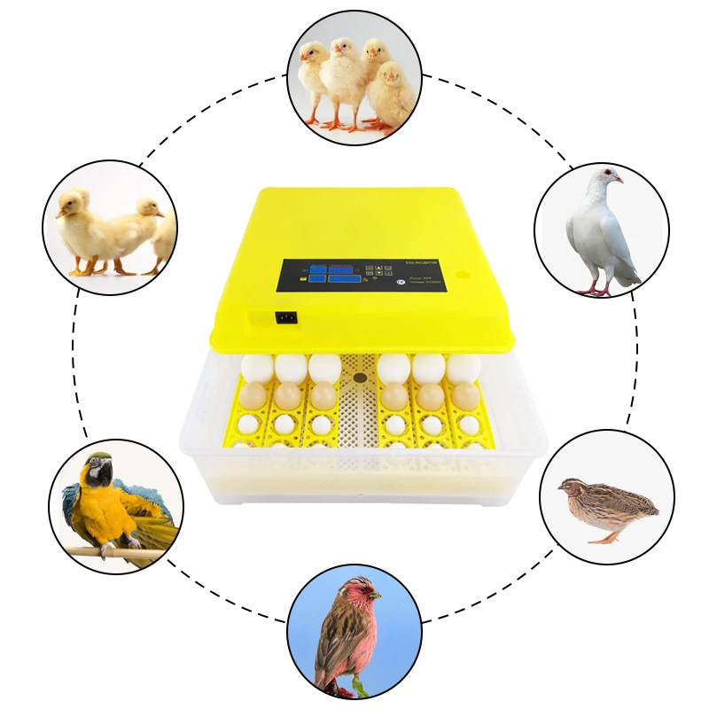 New Design Fully Automatic Eggs Incubators Warranty Hatching Chicken Goose Eggs Hatching Egg Incubator