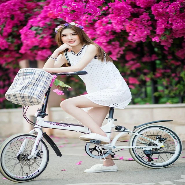 Customized 24 inch 24 Speed 26 inch 24 speed 27.5 Inch 24 Speed Disc Brake Folding Carbon Steel Shock Sorption Mountain Bike