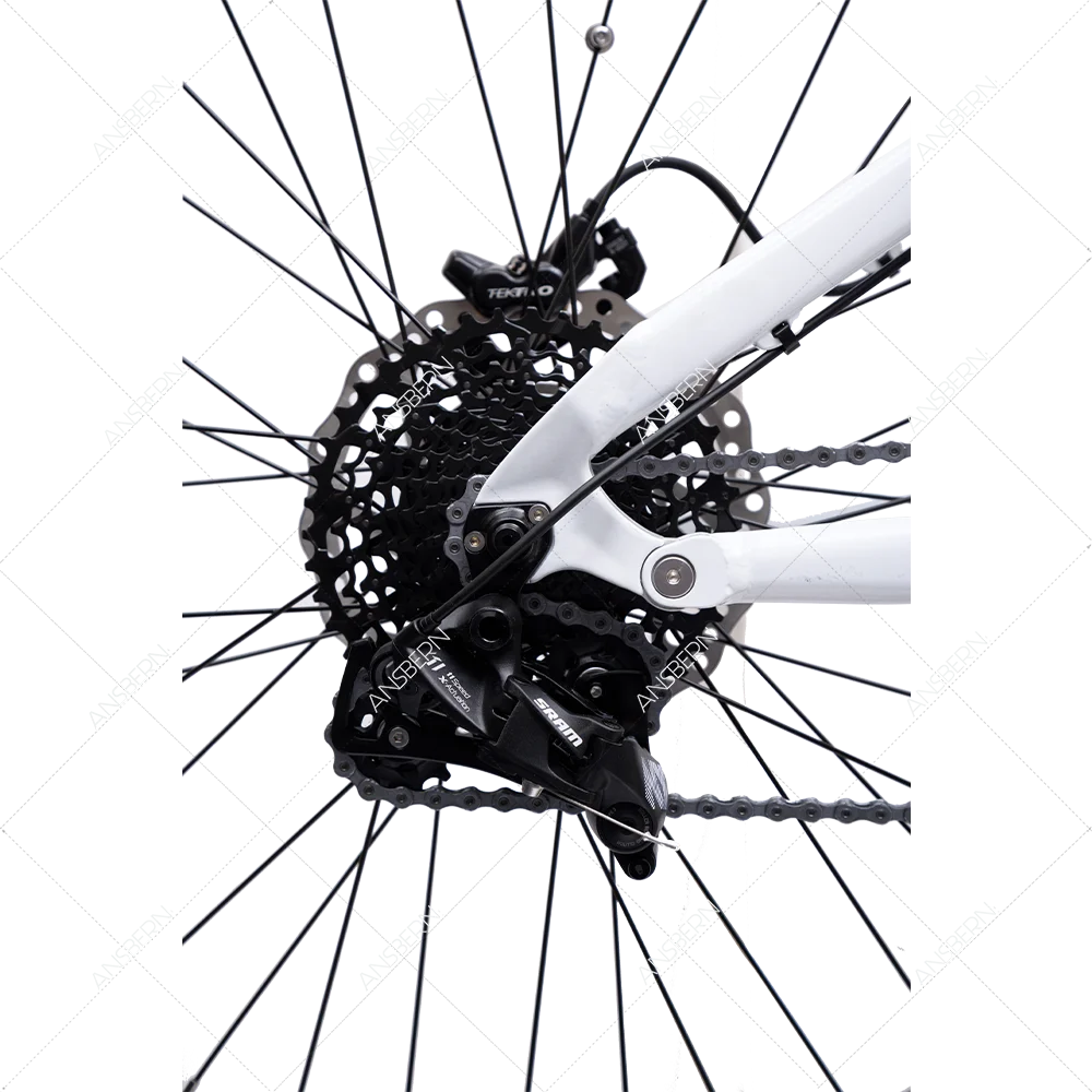 2022 Ansbern High Quality CE Approved Full Suspension Bafang Mid Drive 48V 1000W E Bike Mountain Electric Bicycle ASB-EB-34