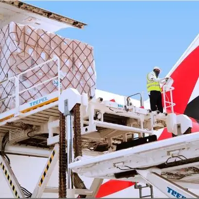 
air freight from china to Johannesburg(JNB) South Africa/cheap logistics/air shipping 