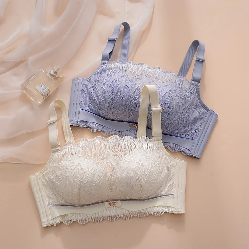 Dropshipping Bra for Women Breathable Tube Top Sexy Lace Wireless Bra Ladies Underwear