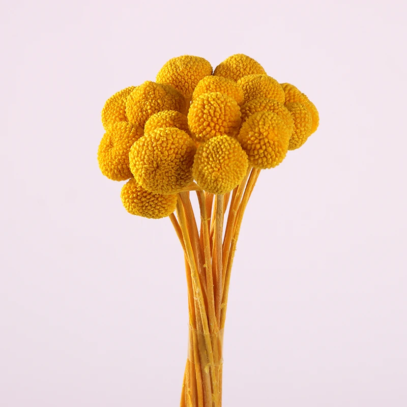 billy ball arrangement dried eternal mothers day wholesale preserve everlasting natural plants flower bouquet preserved flower