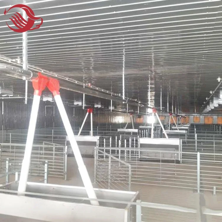 Piggery Cage / Organic Pig Farming / Breeding Crate For Pigs Wholesale