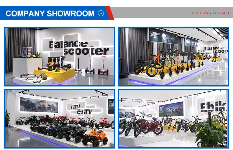 China factory direct sale off road electric motorcycles 350W electric dirt bike adult