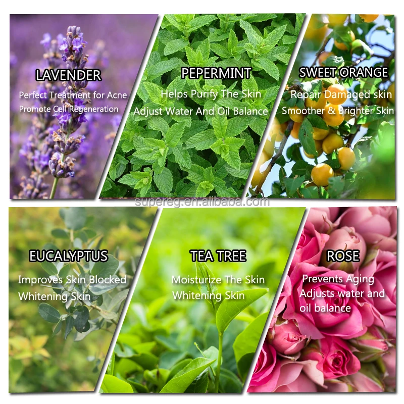 10ml Water-soluble Flower Essential Oil Relieve Stress for Humidifier Fragrance Lamp Air Freshening Aromatherapy