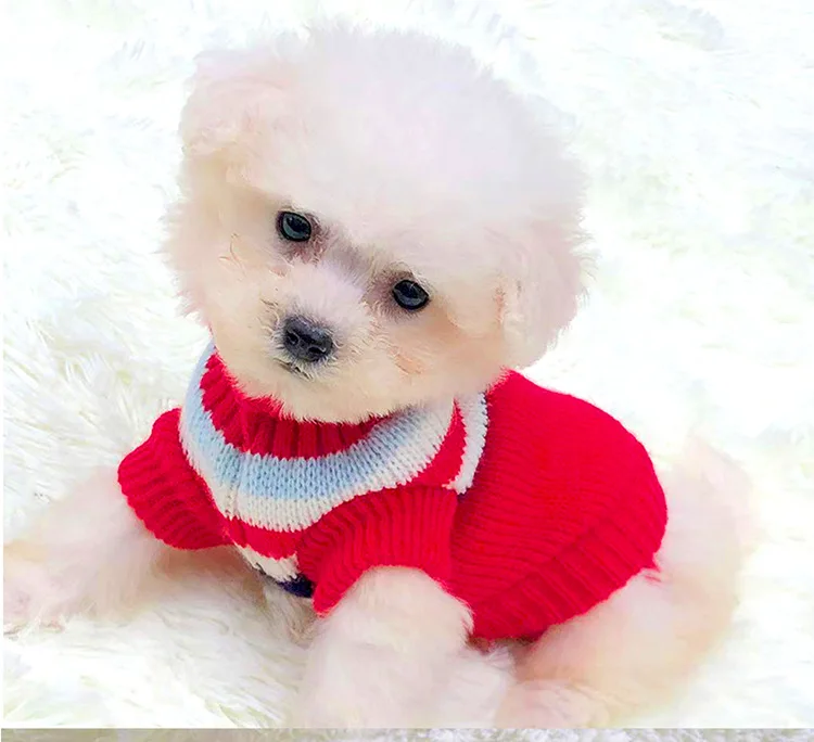 Dog Clothes Autumn Winter New Puppy Bear Teddy Pet Kitten Summer Small Body Clothing Hangers Designer Clothing Hangers Sweater