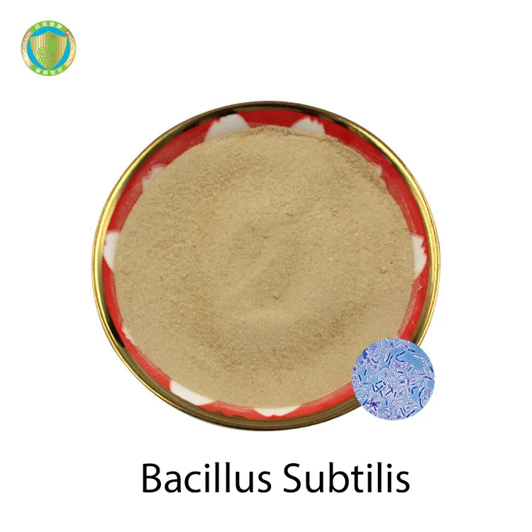 Оптовая продажа добавка для biofloc 10B CFU/g пробиотики Bacillus Subtilis лечения