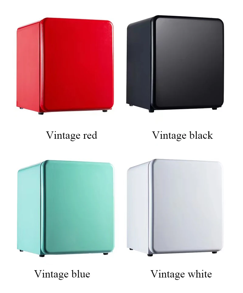 New Arrived 48L Makeup Fridge DC12V AC Small Refrigerator