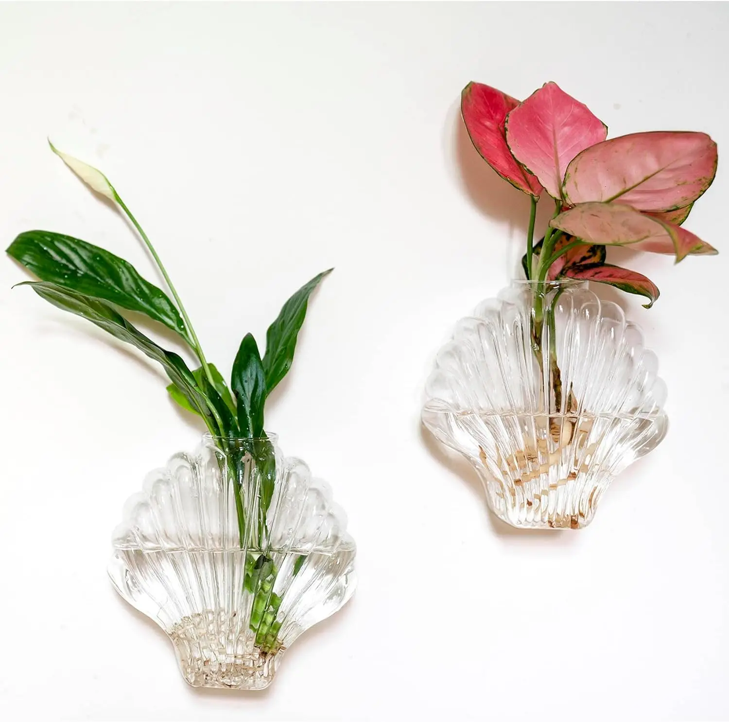 Good looking home decoration flower green glass plant terrarium wall hanging terrarium glass for plants