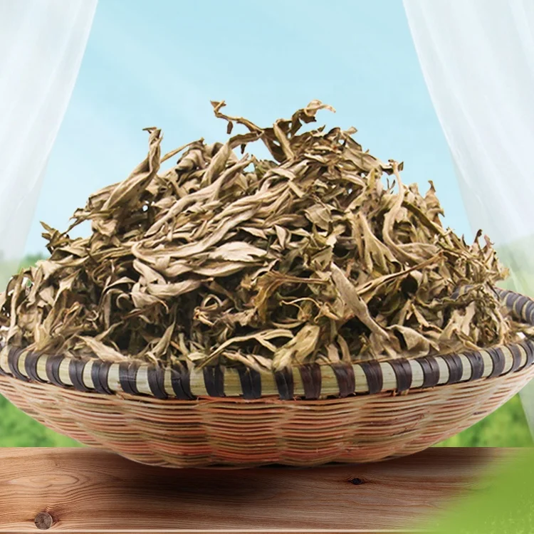 Artemisia Argyi Chinese Mugwort Traditional Chinese Medicine