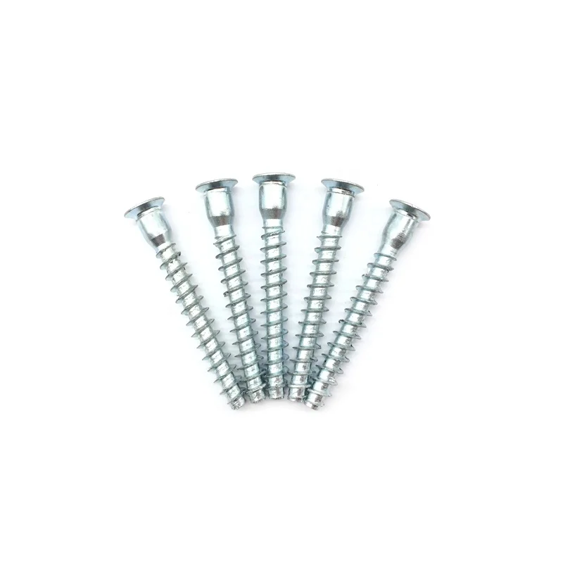 Zinc hex socket head wood screw