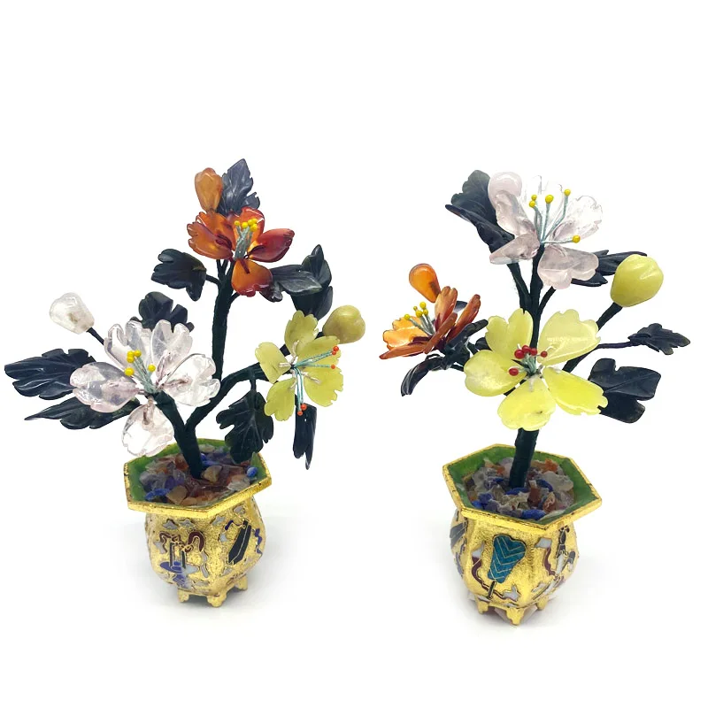 wholesale jade plant big size  jade grape tree