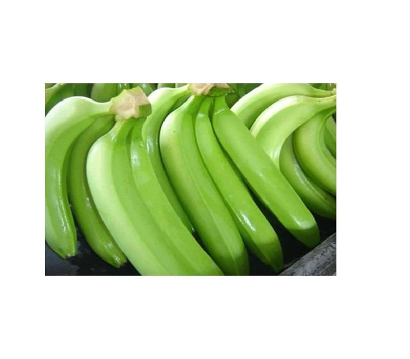 Тропический банан, органический Свежий фрукт, поставщик оптом, свежий натуральный банан Cavendish, низкая цена