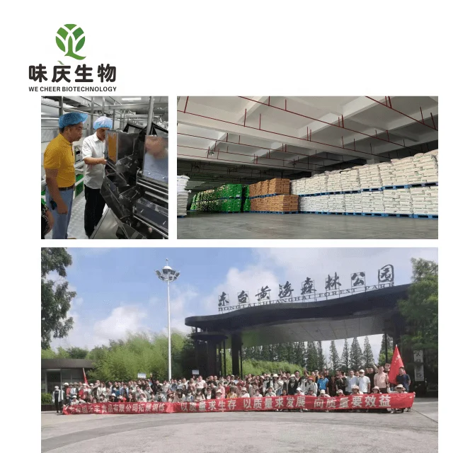 White kidney bean extract