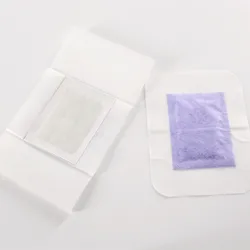 Bamboo Vinegar Detox Foot Patch 2 In 1 Remove Toxin Detoxification Diabetic Japanese Detox Ginger Foot Patch