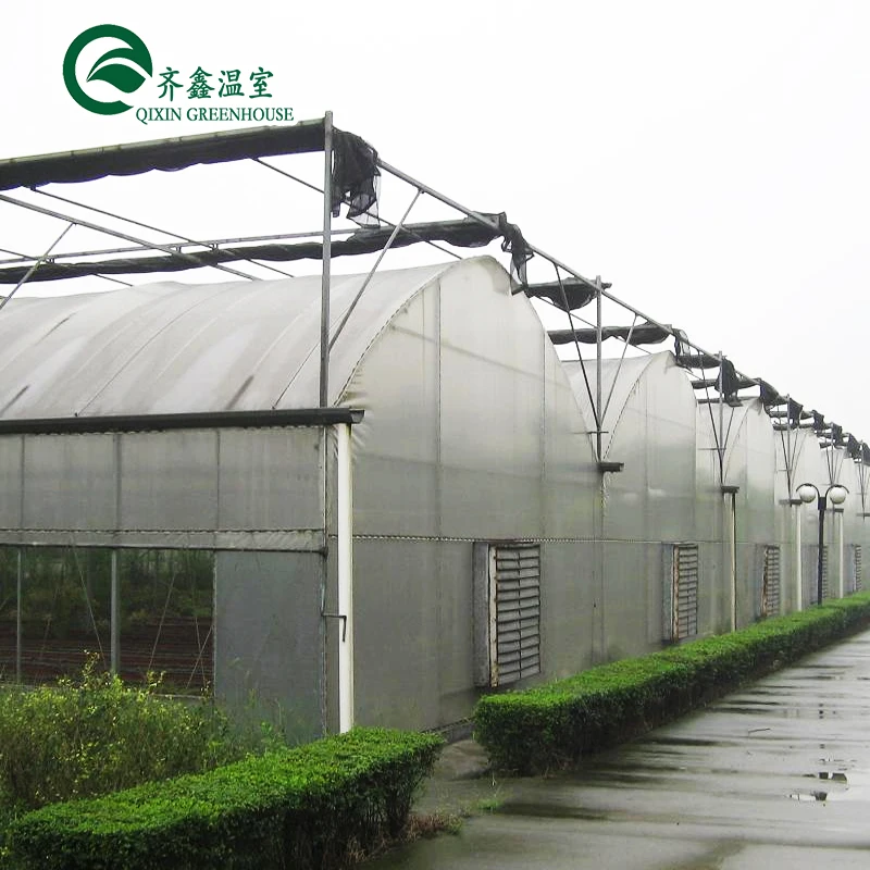 grow tomato equipment vegetables irrigation & hydroponics greenhouse