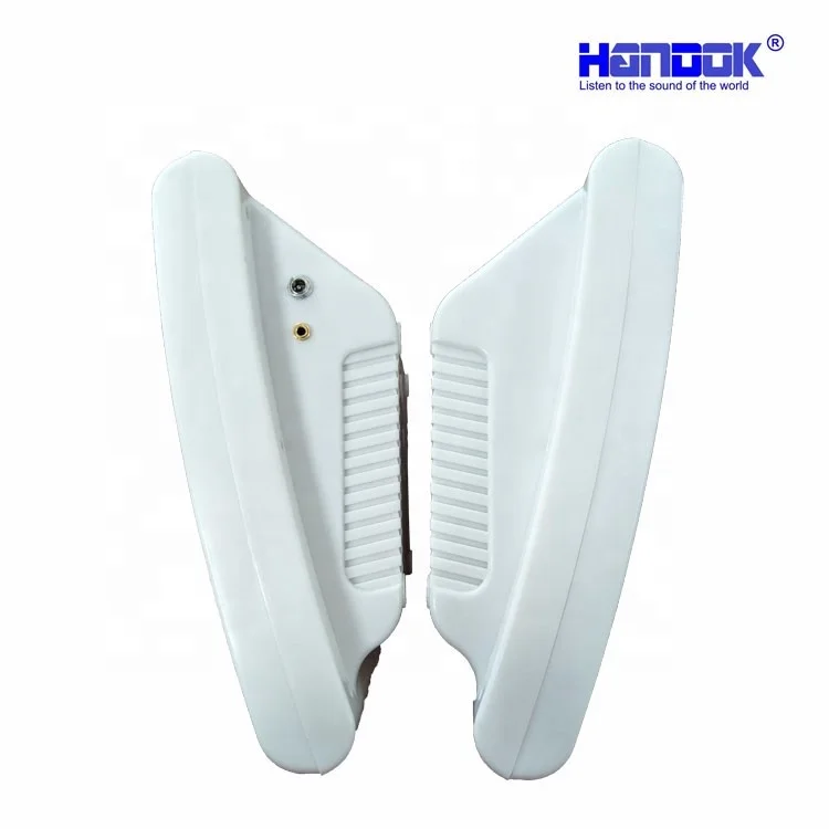 High Quality Factory Direct Sales Active Professional Wall Mount PA Audio Speaker in Pair