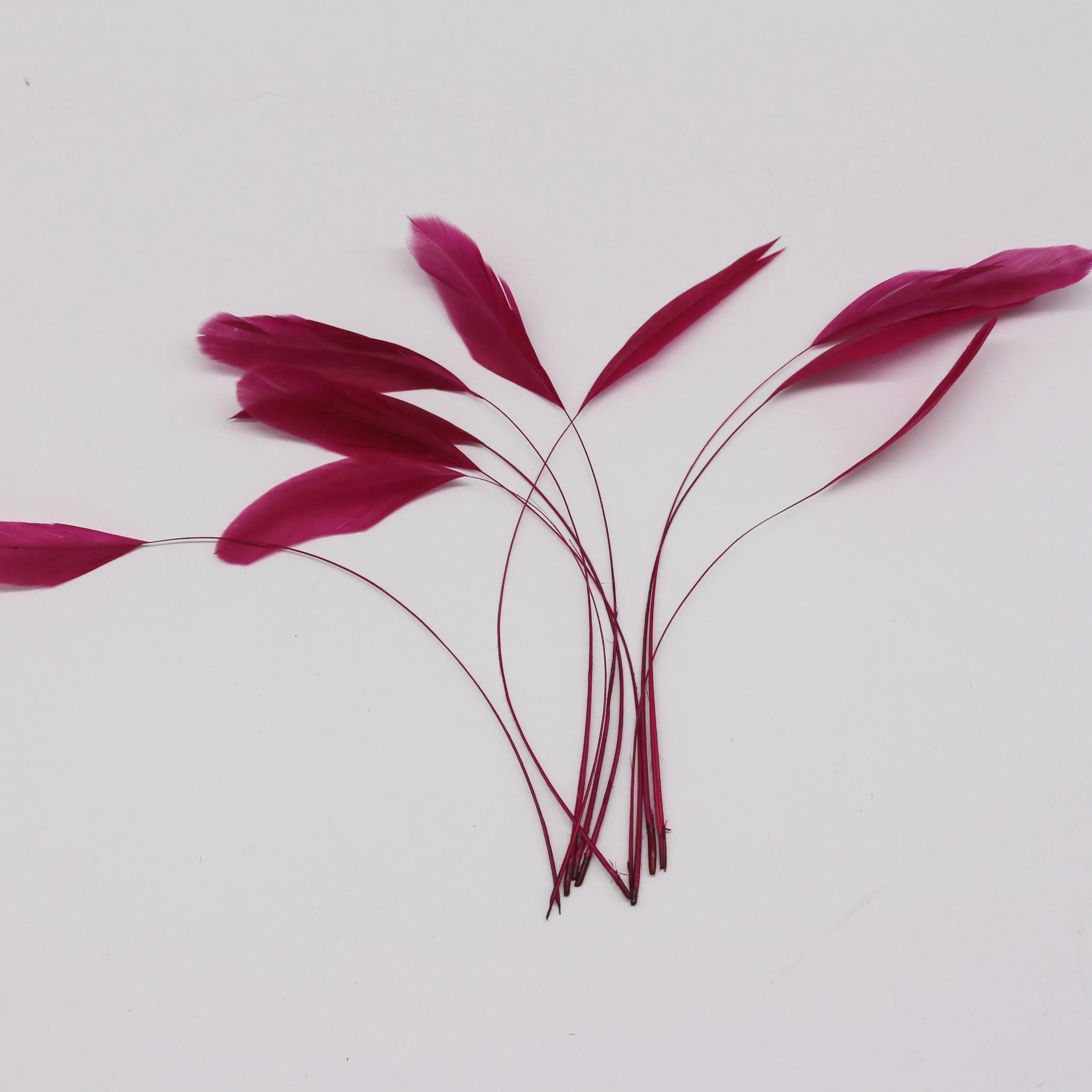 party decoration stripped coque feather