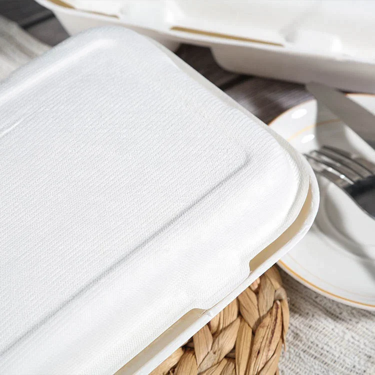 Gloway Oem Eco-Friendly Food Prep Container Biodegradable Disposable 2 Compartment Takeaway Food Container For Restaurant