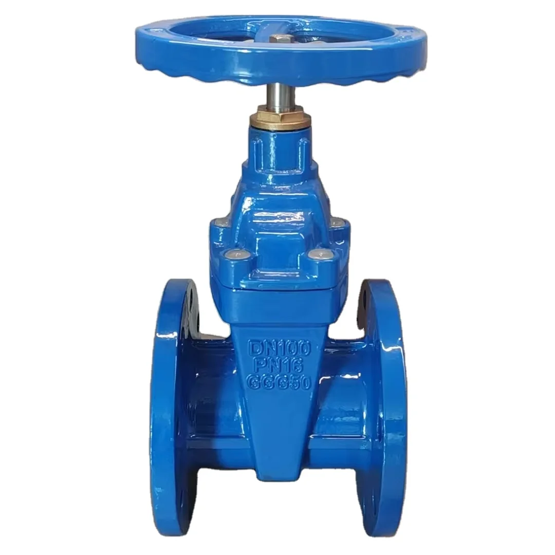 Customized Ductile Iron Flexible Manual Explosion Proof Copper Core Hose Rising Stem Gate Valve