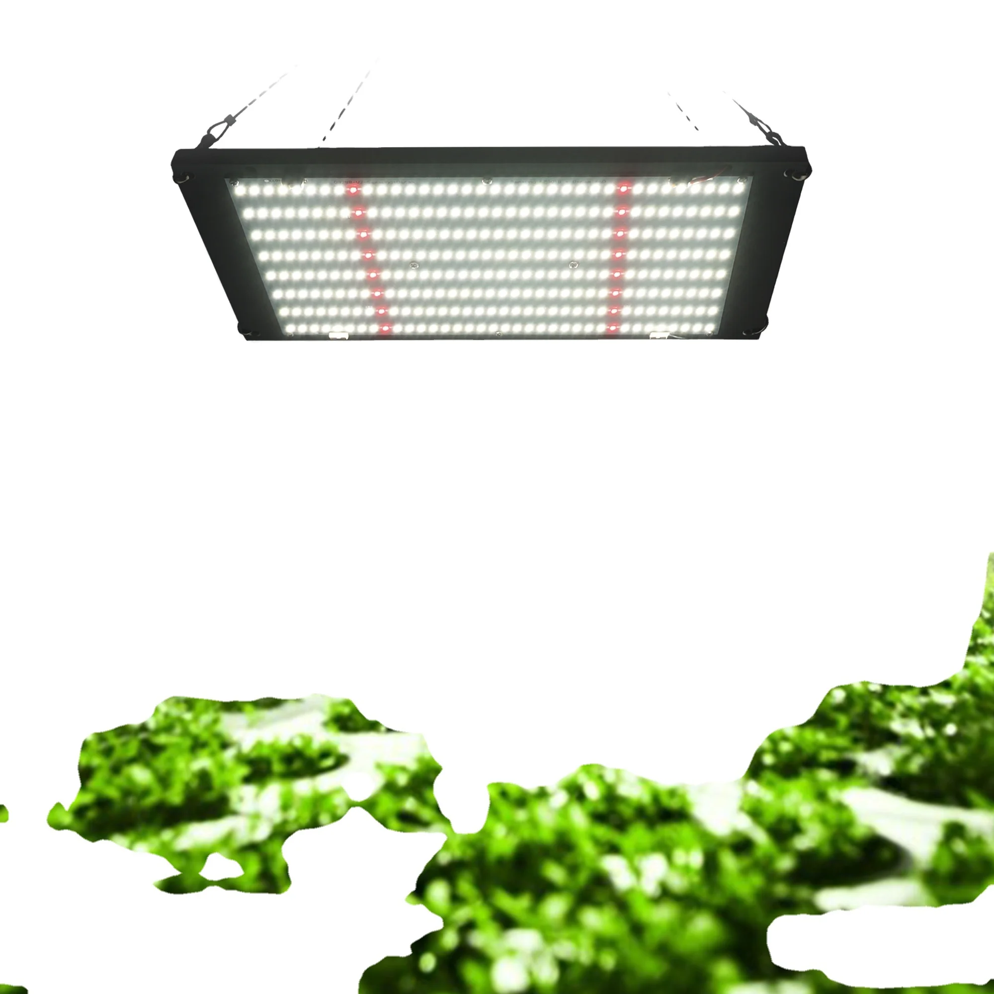 Оригинальный Samsung LM301H EVO светодиодный светильник для выращивания растений 240 Вт полный спектр управления переключателем УФ ИК