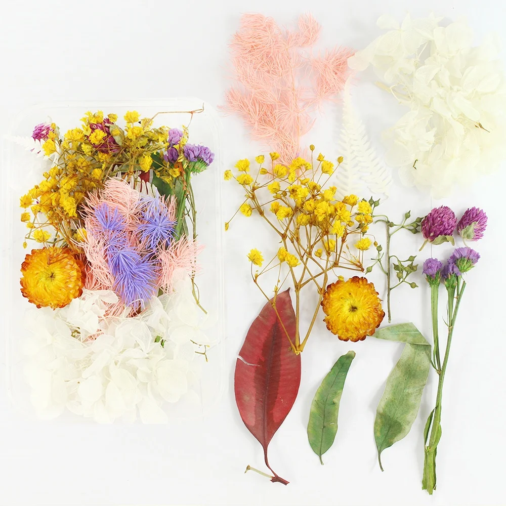  Amazon Best Seller Dry flowers Natural Mixed Random Baby Breath Pressed Dried Flowers For Resin Nail Phne Case DIy