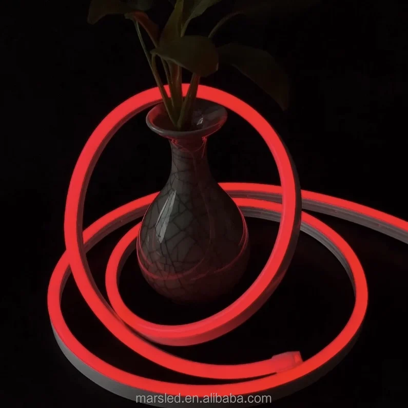 Flexible Silicone 5V 12V 24V Luminescent Waterproof Ambient Light Tube Bipolar Neon Lighting