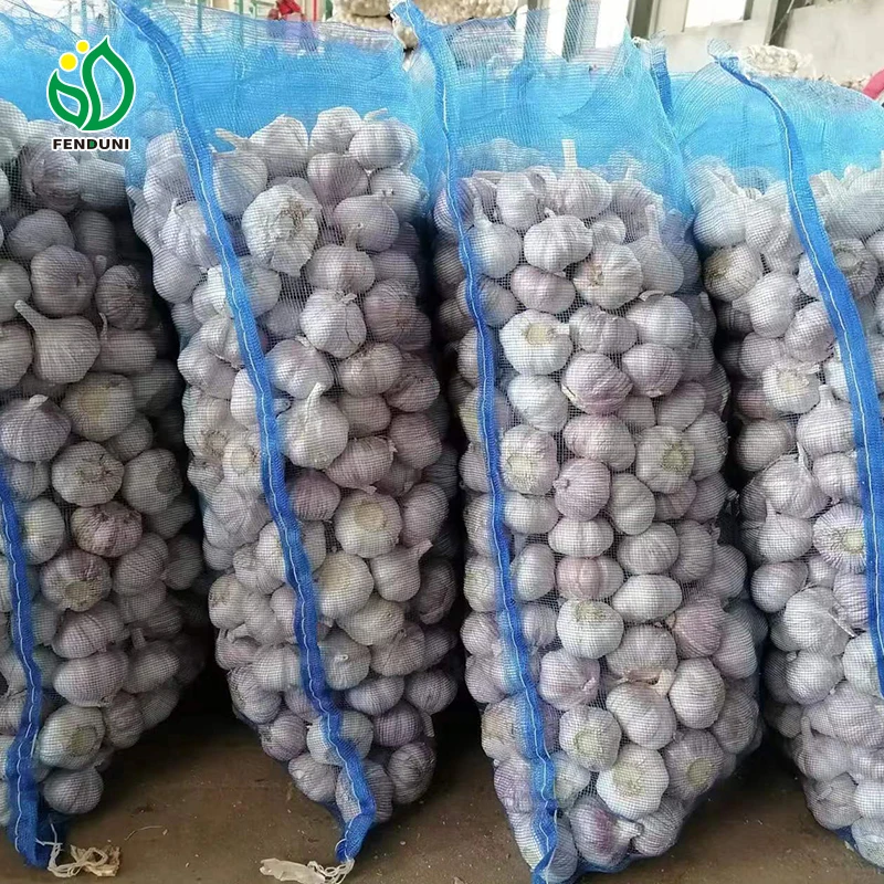 Chinese Factory Garlic Ajo Ail Alho Fresh Garlic with 10kg/20kg bag loosely Garlic